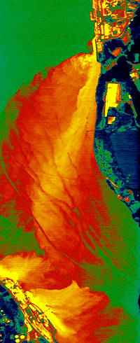 Indian Point Plume