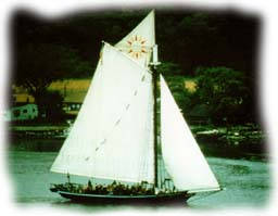 Sun Sail