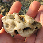 A River Stone