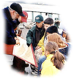 Volunteering on the Sloop
