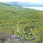Watershed Management