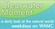 Clearwater Moment