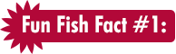 Fun Fish Fact #1