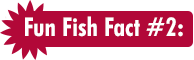 Fun Fish Fact #2