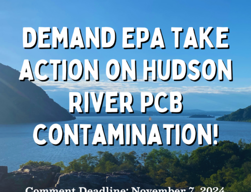 ACTION ALERT: Hudson River PCB Contamination