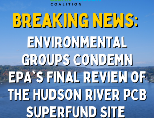 Environmental Groups Condemn EPA’s Final Review of the Hudson Superfund Site 